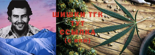 spice Абаза