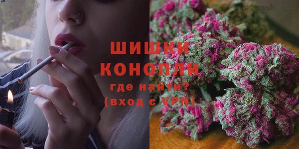 spice Абаза