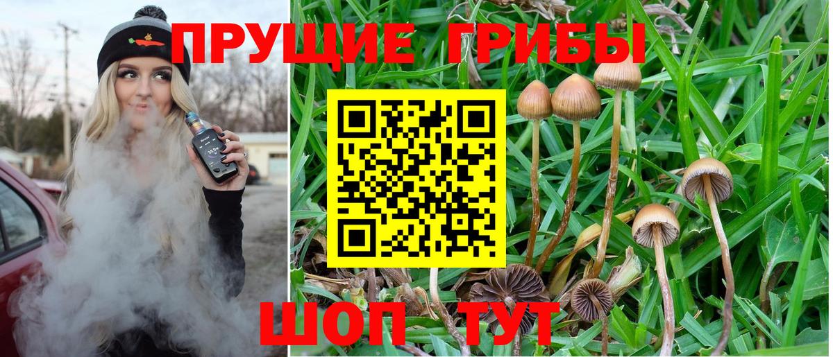 Галлюциногенные грибы ЛСД Кумертау