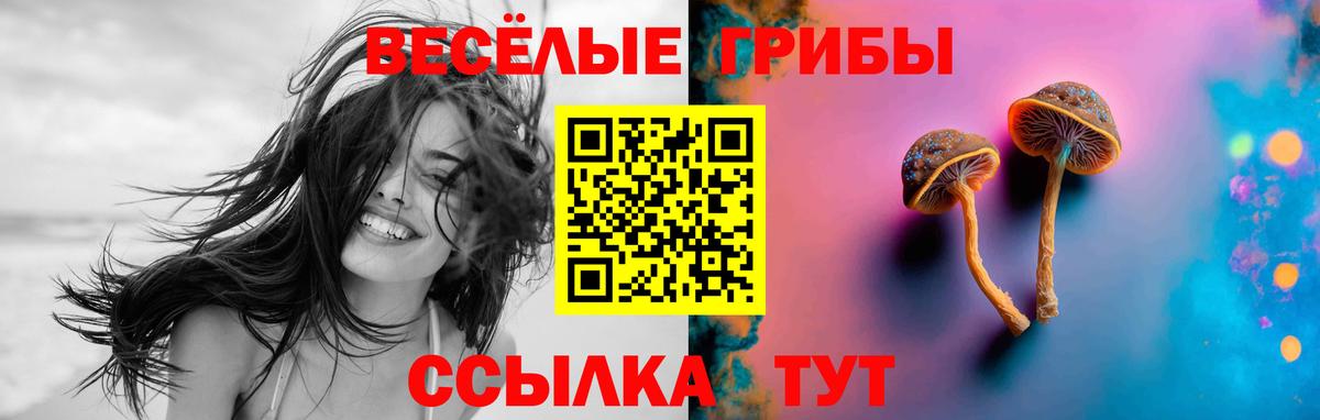 Кумертау  Галлюциногенные грибы Cubensis  Вход с VPN  Псилоцибиновые грибы MAGIC MUSHROOMS 